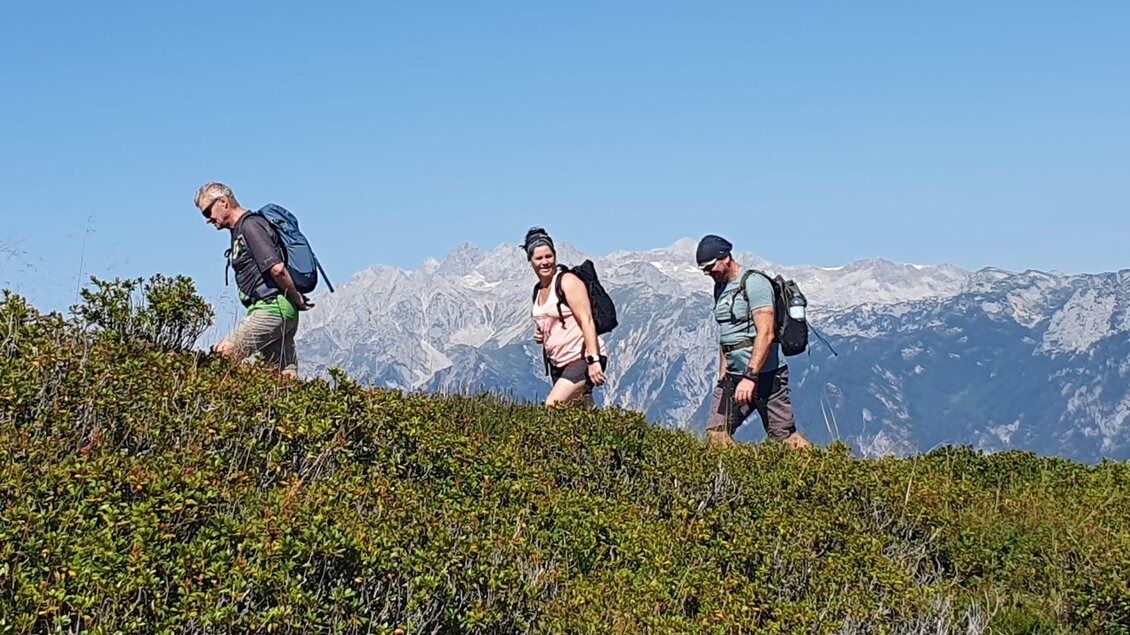 Drei Wanderer gehen auf einem Bergpfad durch die Natur. Im Hintergrund sind majestätische Berge und ein klarer blauer Himmel zu sehen. | © Hubert Pleninger
