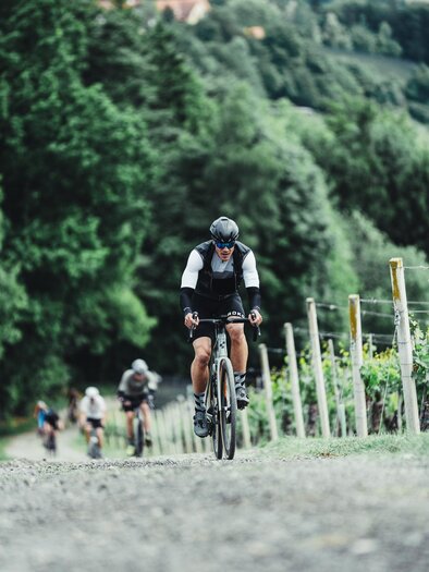 Ein Radfahrer fährt einen mit Kies bedeckten Weg bergauf, umgeben von Weinreben. Im Hintergrund sind grüne Hügel und Bäume sichtbar. | © hofstaetter@finisher-magazin.at