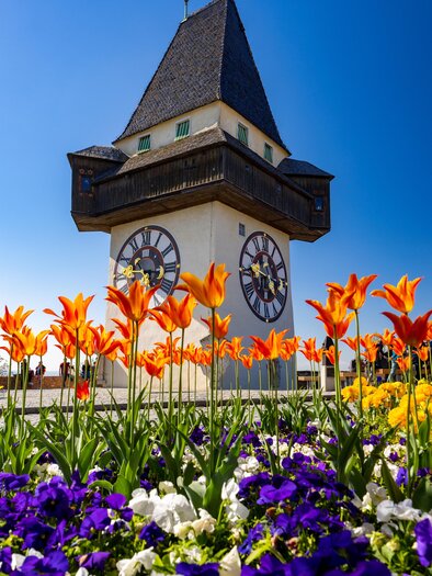 Ein schöner Uhrturm umgeben von bunten Blumen. Der Himmel ist klar und blau. | © (c) Graz Tourismus - Harry Schiffer