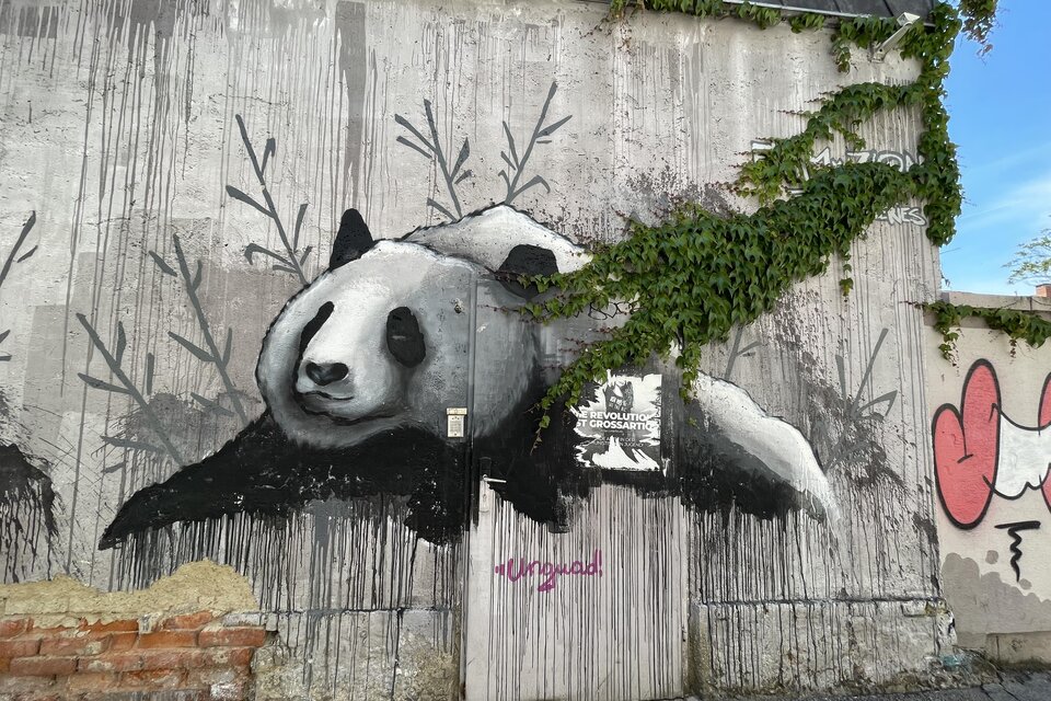 Ein Wandgemälde eines Pandas, das an einer Mauer zu sehen ist. Umgeben von grünen Pflanzen und Graffiti. | © Anita Arneitz