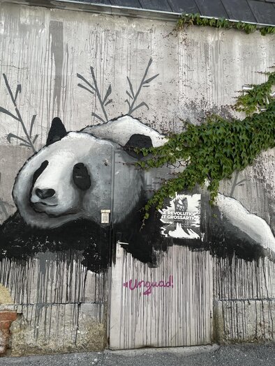Ein Wandgemälde eines Pandas, das an einer Mauer zu sehen ist. Umgeben von grünen Pflanzen und Graffiti. | © Anita Arneitz
