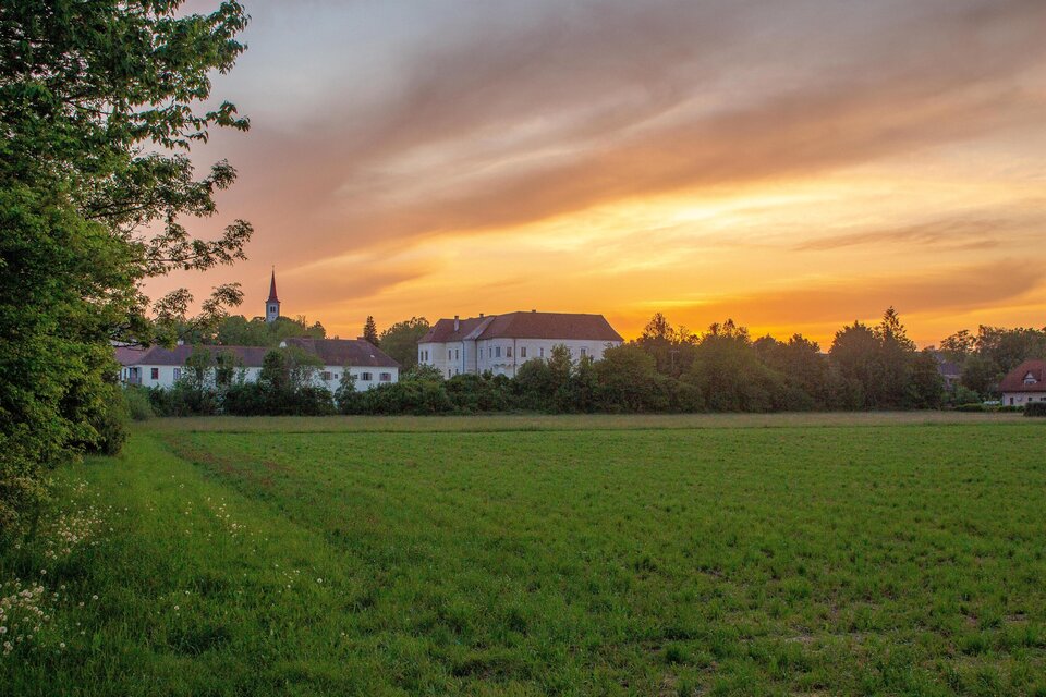 Eine malerische Landschaft mit einem grünen Feld und einem wunderschönen Sonnenuntergang im Hintergrund. Im Vordergrund sind Bäume und im Hintergrund steht ein Gebäude mit einem Kirchturm. | © Sandra Brünner