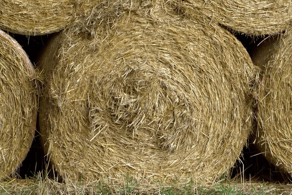 Stapel aus runden Heuballen in einem Feld. Die Ballen sind trocken und goldfarben. | © Pixabay