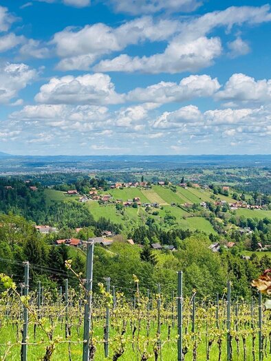 Eine malerische Landschaft mit Weinbergen und sanften Hügeln. Der Himmel ist klar und von vielen Wolken durchzogen. | © TV Südsteiermark - Irene Löschnig