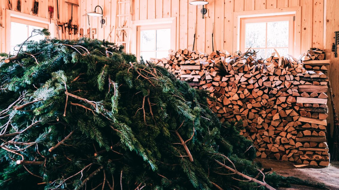 Ein Haufen von Tannenzweigen liegt im Vordergrund, während im Hintergrund gestapeltes Holz zu sehen ist. Der Raum hat Wände aus Holz und große Fenster, die Licht hereinlassen. | © Armin Walcher