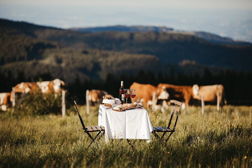 Ein romantisches Picknick auf einer Wiese mit Blick auf sanfte Hügel. Der Tisch ist gedeckt mit Wein, Brot und Käse, während Kühe im Hintergrund grasen. | ©  Achromaticphotography