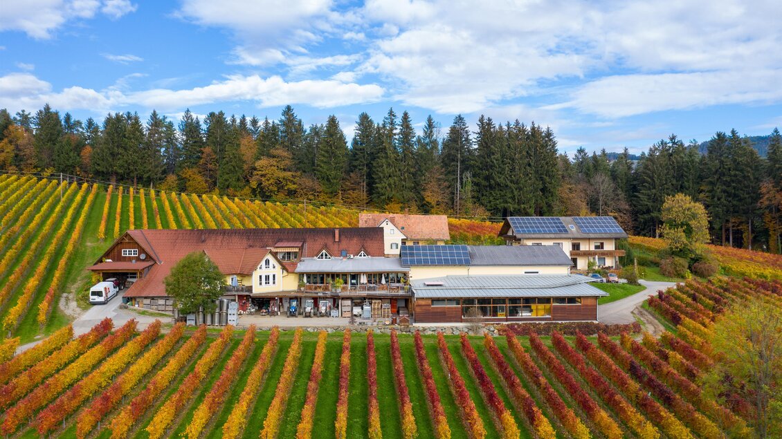 Ein malerisches Weingut umgeben von bunten Weinreben. Der Himmel ist teilweise bewölkt und die Landschaft wirkt idyllisch. | © @jöbstl Florian