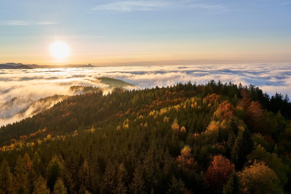 Eine atemberaubende Landschaft mit Bergen und Wäldern, die von Nebel umgeben sind. Die Sonne geht am Horizont auf und taucht die Szene in warmes Licht. | © Pixabay