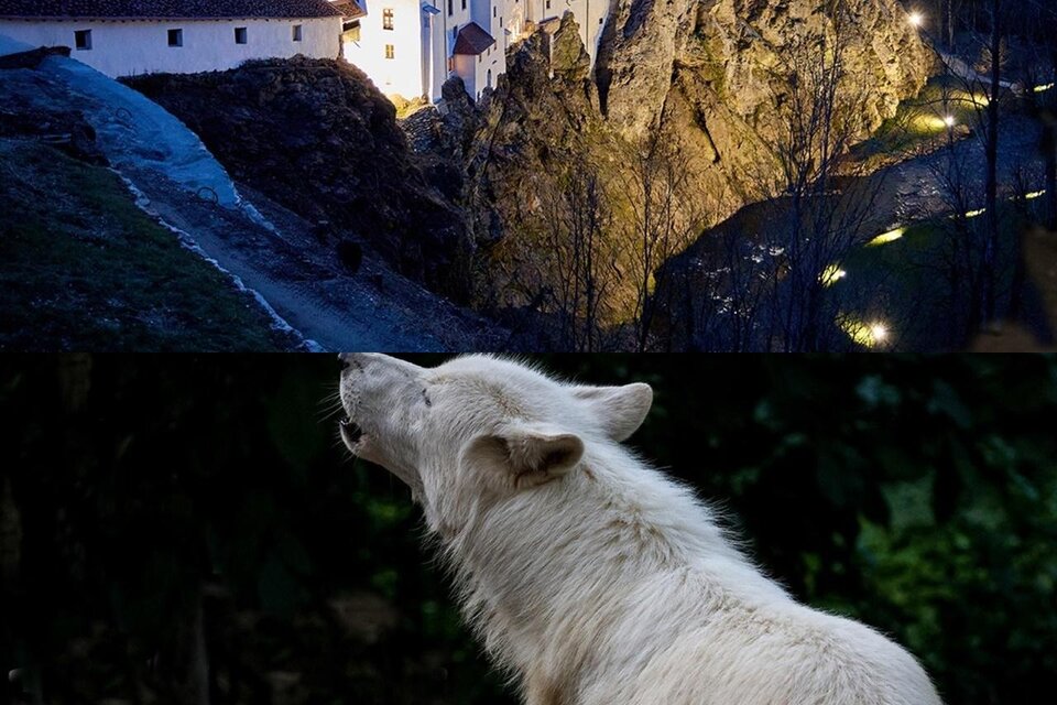 Vollmondfest_Oststeiermark | © Tierwelt und Gartenschloss Herberstein