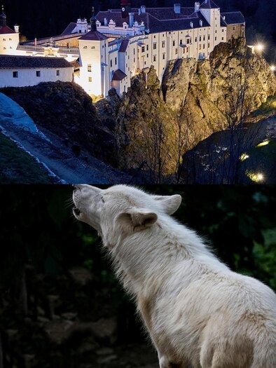 Full Moon Festival_Eastern Styria | © Tierwelt und Gartenschloss Herberstein