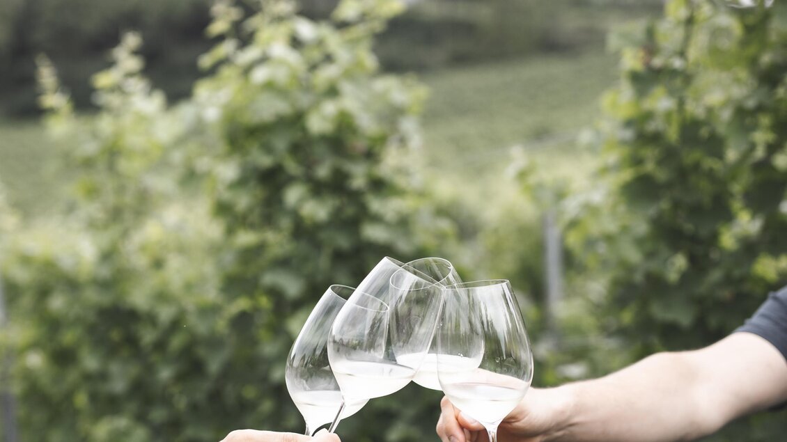 Ein fröhlicher Anstoß von Gläsern in einem Weinberg. Im Hintergrund sind grüne Reben zu sehen. | © Weingut Regele