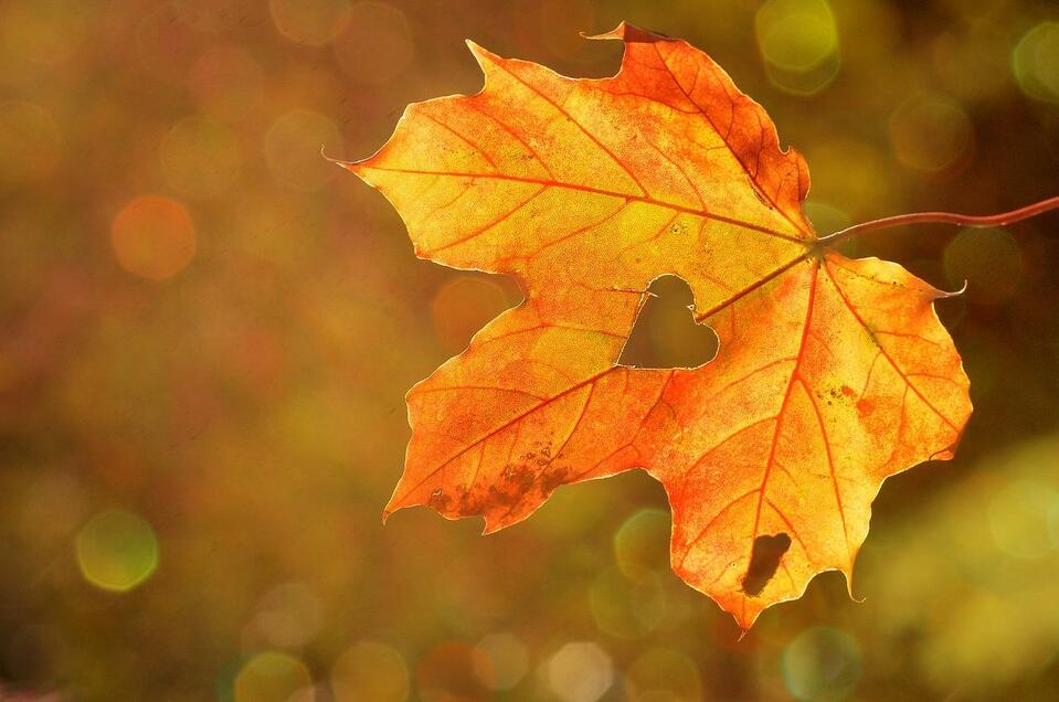 Herbst | © Pixabay