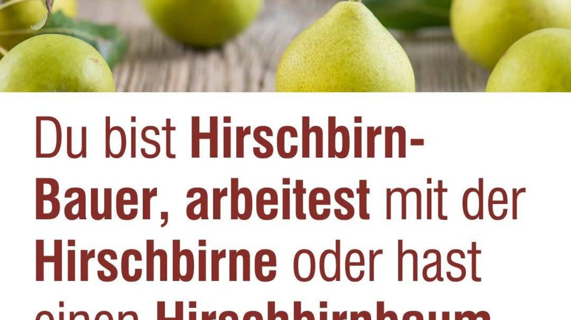 Ein Plakat mit dem Text über die Hirschbirne. Es zeigt grüne Birnen und spricht die Zielgruppe der Hirschbirnbauern an. | © Tourismusverband Oststeiermark