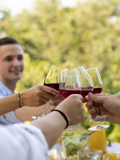 A group of friends toasts with wine glasses. In the background, green foliage and a relaxed atmosphere can be seen. | © freepik