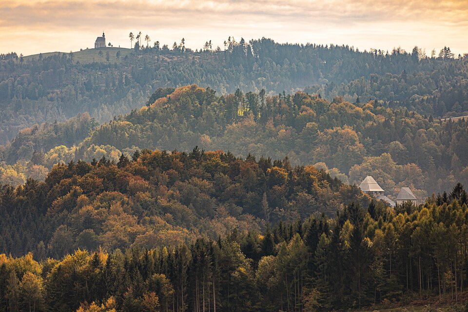 Herbst | © Schilcherland Steiermark - Lupi Spuma