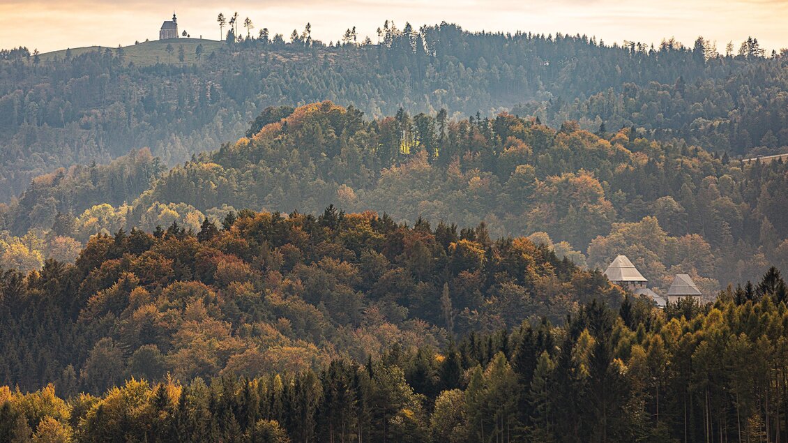 Herbst | © Schilcherland Steiermark - Lupi Spuma