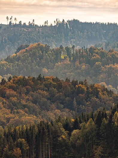 Herbst | © Schilcherland Steiermark - Lupi Spuma