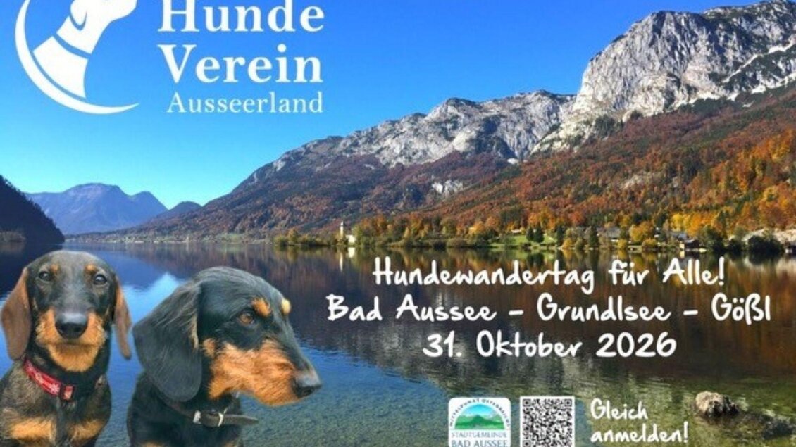 <p>Das Plakat vom Hundeverein Ausseerland für den Hundewandertag zum Grundlsee 2026. Zu sehen ist eine Herbstlandschaft vom Grundlsee mit zwei Dackeln. | © Hundeverein Ausseerland