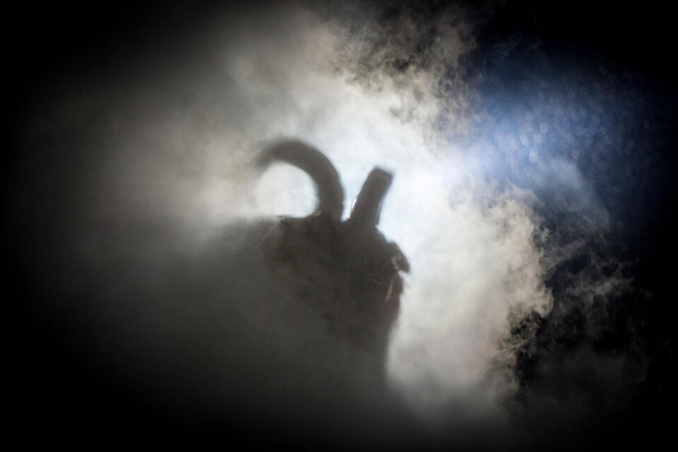Ein mysteriöser Schatten mit einem geschwungenen Horn vor einem nebligen Hintergrund. Das Licht bricht durch den Dunst und schafft eine geheimnisvolle Atmosphäre.
