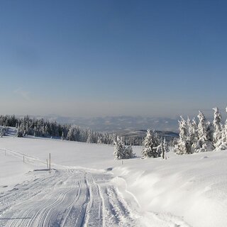 People cross-country skiing_Jogllandloipe_Eastern Styria | © Tourismusverband Oststeiermark