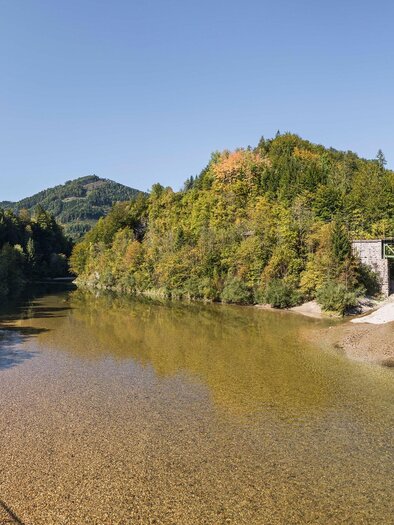 Ein ruhiger Fluss fließt durch eine malerische Landschaft mit bunten Bäumen im Hintergrund. Die klare Wasseroberfläche spiegelt die umgebende Natur wider. | © Naturpark Steirische Eisenwurzen