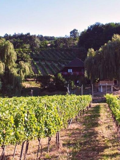 Buschenschank Hofer Toni_Oststeiermark | © Buschenschank Hofer Toni
