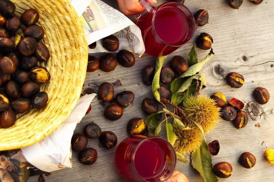 Geröstete Kastanien, Trauben und ein Glas roter Saft auf einem Holzbrett. Die Farben sind warm und einladend. | © © Werner Krug