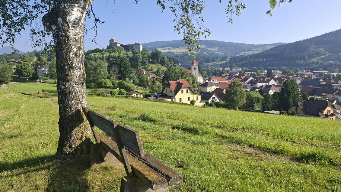 Eine schöne Bank unter einem Baum mit Blick auf eine kleine Stadt und hügelige Landschaft. Im Hintergrund sind Berge und ein Schloss sichtbar.