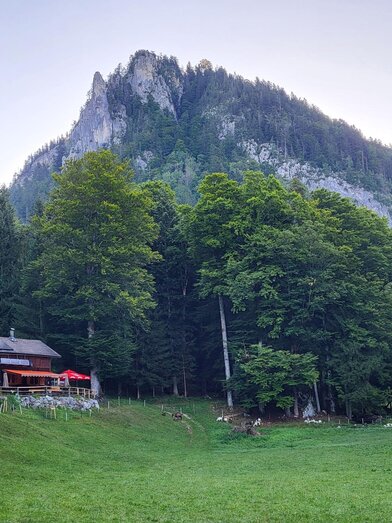 Jausenhütte Bärnmoos mit Tressenstein, Bad Aussee | © TVB Ausseerland Salzkammergut | Petra Kirchschlager | © TVB Ausseerland Salzkammergut
