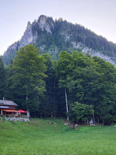 Tavern Jausenhütte Bärnmoos with Tressenstein mountain, Bad Aussee | © TVB Ausseerland Salzkammergut