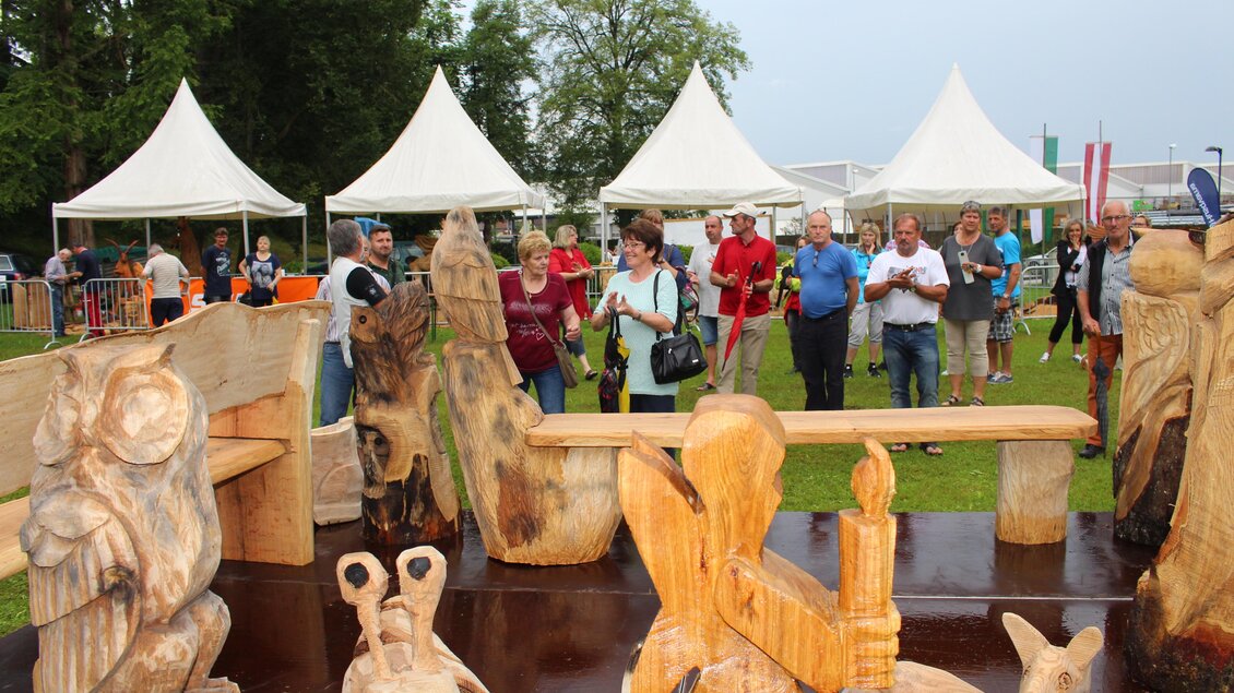 Geschnitzte Holzfiguren und Skulpturen bei den Kettensägen-Kunstschnitztagen in Voitsberg. | © Robert Cescutti