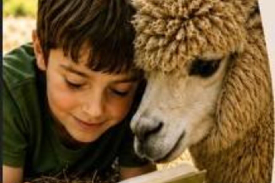 Ein Kind sitzt im Heu neben einem Alpaka und betrachtet gemeinsam mit dem Tier ein aufgeschlagenes Buch. Beide wirken ruhig und aufmerksam. Im Hintergrund ist eine natürliche Hof- und Wiesenlandschaft zu erkennen. | © Bio-Erlebnishof Bochsbichler