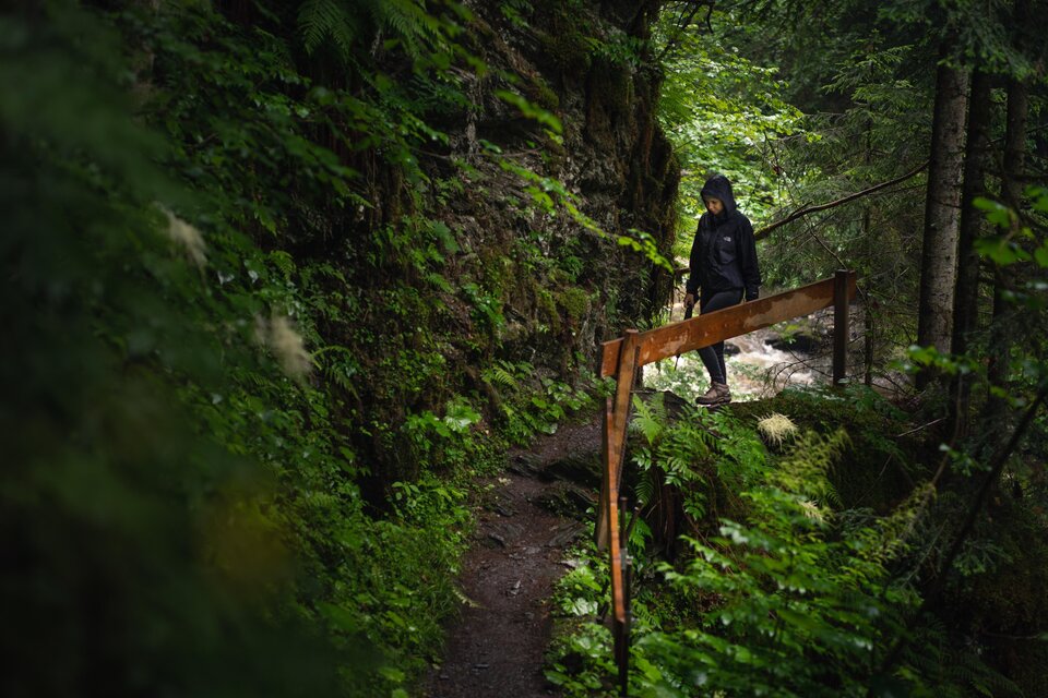 Ein Wanderer sieht einen schmalen Pfad durch einen grünen Wald. Umgeben von Bäumen und dichten Pflanzen ist die Atmosphäre ruhig und friedlich. | © Christoph Lukas