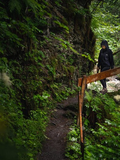 Ein Wanderer sieht einen schmalen Pfad durch einen grünen Wald. Umgeben von Bäumen und dichten Pflanzen ist die Atmosphäre ruhig und friedlich. | © Christoph Lukas