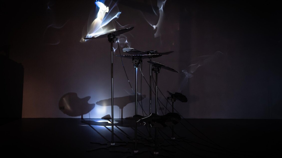 Lichtinstallation „Abiosis“ mit beleuchteten Formen und filigranen Strukturen im Schloss Eggenberg bei Klanglicht. | © Heleen Blanken
