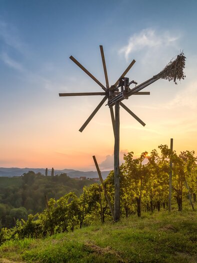 Ein malerischer Weinberg mit einem alten Holzgerüst zum Traubenschneiden. Der Himmel leuchtet in warmen Farben bei Sonnenuntergang. | © © TVB Südsteiermark
