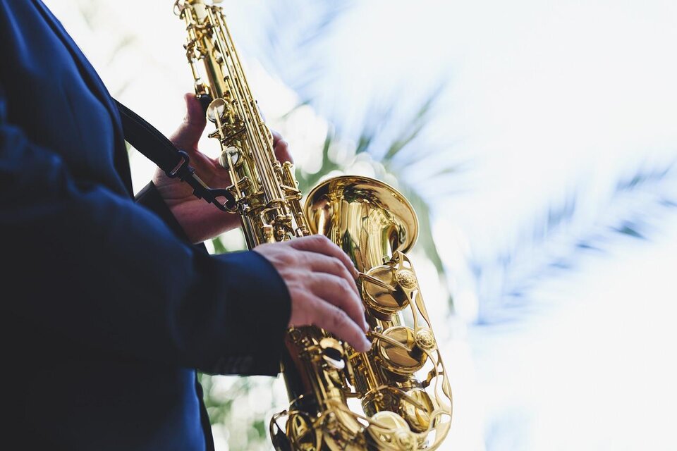 Eine Person spielt ein goldenes Saxophon. Im Hintergrund sind unscharfe Pflanzenblätter sichtbar. | © pixabay.com