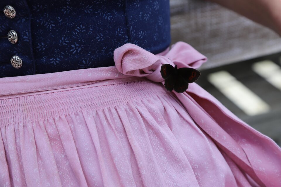 Ein traditionelles Kleid mit einem blauen Oberteil und einem rosa Rock. Der Rock hat eine Schleife und eine dekorative Brosche in Form eines Schmetterlings.