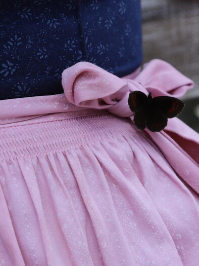 A traditional dress with a blue top and a pink skirt. The skirt has a bow and a decorative brooch in the shape of a butterfly.