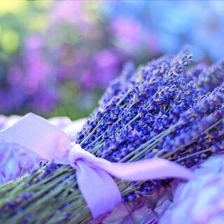 Lavendel | © Pixabay