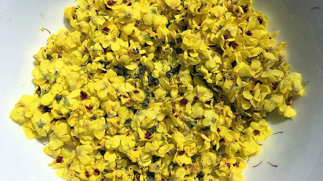 Eine Schüssel mit vielen gelben Blüten. Die Blüten wirken frisch und lebendig. | © Mike Muse