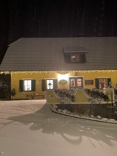 Ein gelbes Haus im Schnee mit Lichtern geschmückt. Ein Weihnachtsbaum steht daneben, und alles ist abends beleuchtet. | © Familienweingut Trabos