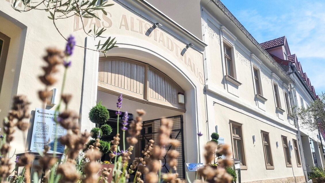 Ein schönes Gebäude mit einer eleganten Fassade und großen Fenstern. Im Vordergrund wachsen Lavendelblüten, die dem Bild eine angenehme Atmosphäre verleihen. | © Das Altstadthaus