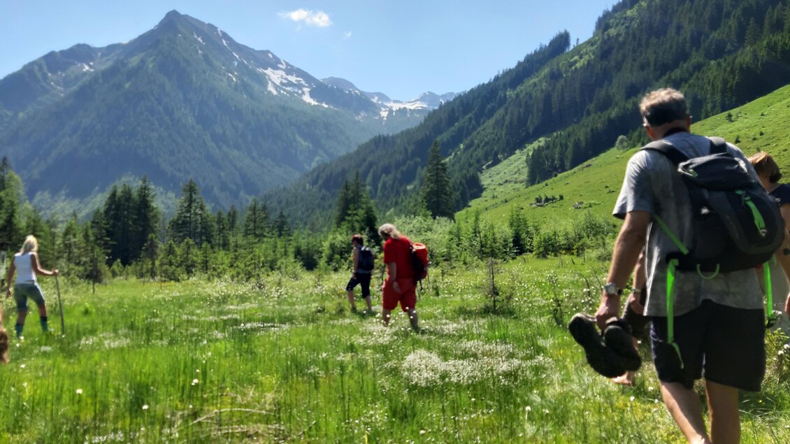 Eine Gruppe von Wanderern erkundet eine grüne Wiese in den Bergen. Im Hintergrund sind hohe Berge und eine klare, blaue Himmel zu sehen. | © Naturpark Sölktäler