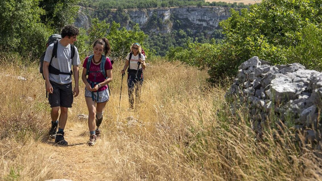 Eine Gruppe von Wanderern geht auf einem schmalen Pfad durch eine hügelige Landschaft. Im Hintergrund sind Bäume und ein Felsen sichtbar. | ©  Luna Filmverleih GmbH