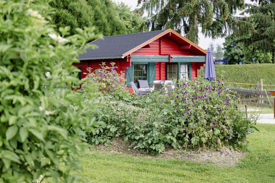 Ein rotes Holzhaus mit grünen Fenstern in einer blühenden Gartenlandschaft. Umgeben von Bäumen und Pflanzen bietet es einen gemütlichen Rückzugsort. | © Harald Eisenberger