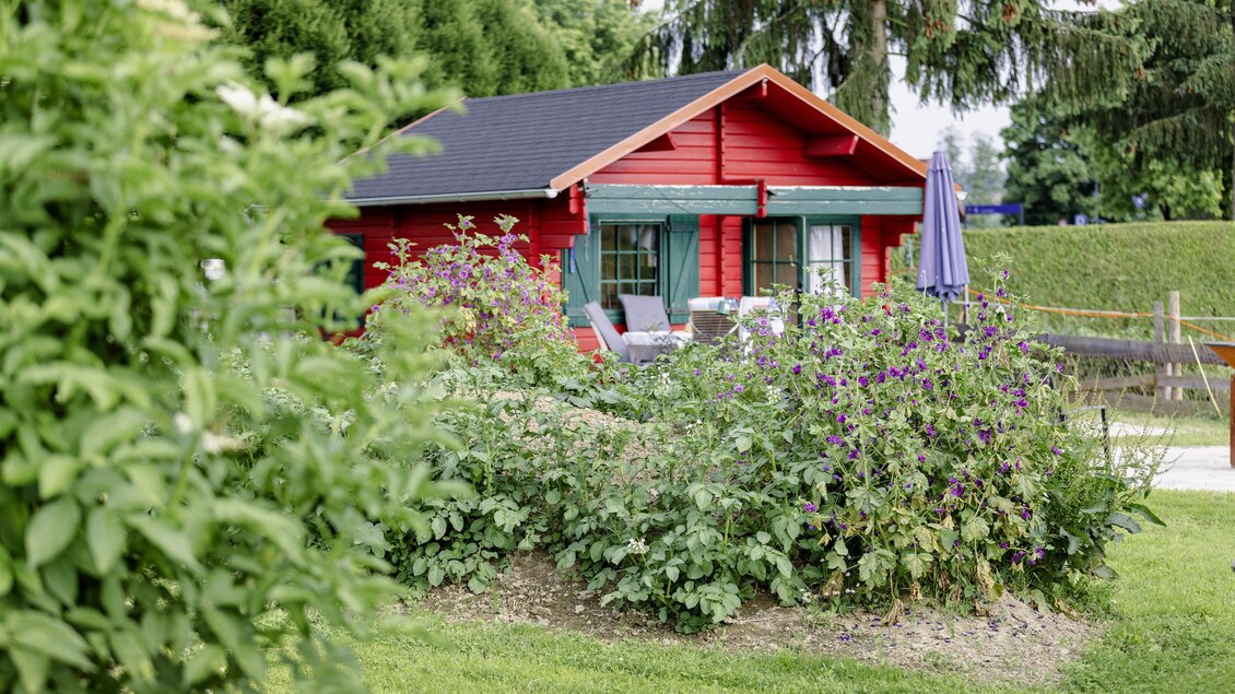 Ein rotes Holzhaus mit grünen Fenstern in einer blühenden Gartenlandschaft. Umgeben von Bäumen und Pflanzen bietet es einen gemütlichen Rückzugsort. | © Harald Eisenberger