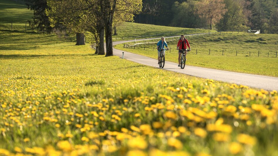 Dandelion_Biking_Eastern Styria | © Tourismusverband Oststeiermark / Bernhard Bergmann