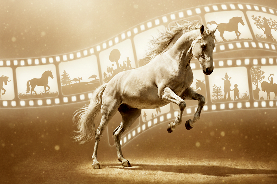 Lipizzaner als Einhorn springend, dahinter Filmbänder auf braunem Hintergrund.  | © Lipizzania