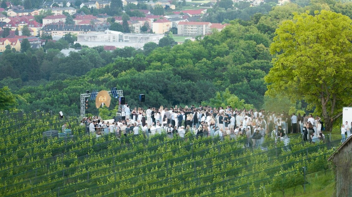 LYVA in den Weingärten | © LYVA